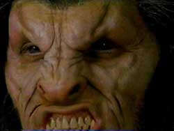 Beast face - click for more images