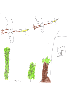 the Ducks fly into the forest