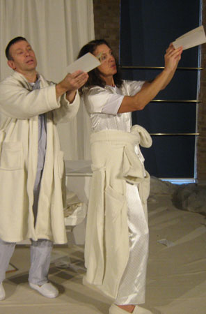 the books represent Wild Ducks flying