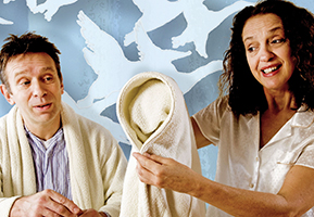 Twelve Wild Ducks image